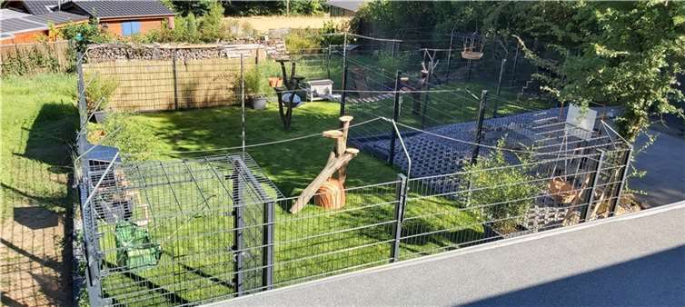 Ein Zuhause für Katzen, „Joanas Cat Home“. Foto: privat