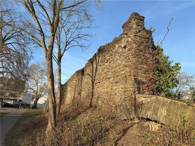 Ein beeindruckendes Stück der 700 Jahre alten Sinziger Stadtmauer wurde in den vergangenen Tagen freigelegt - ein Beitrag für ein attraktiveres Sinzig.  Foto: Ortsvorsteher Reiner Friedsam
