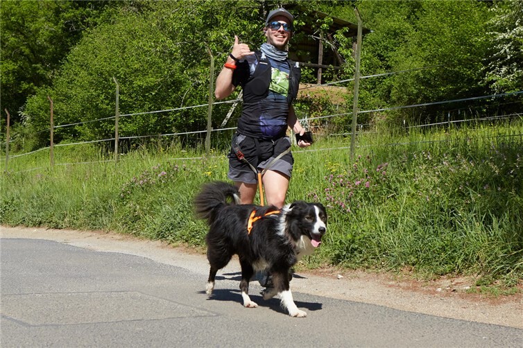 Ein begeisterter Hund über die volle Distanz