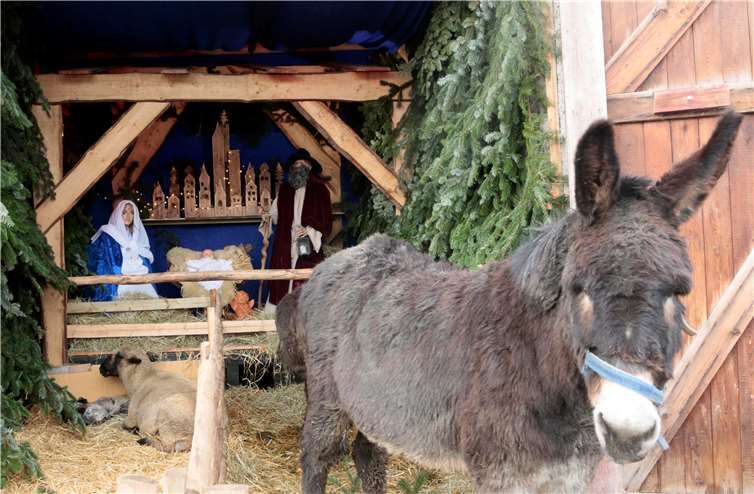Ein besonders anschauliches Highligt war die lebendige Krippe.