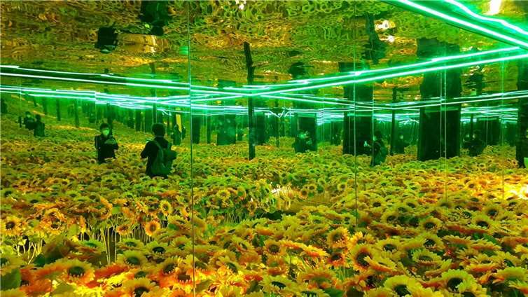 Ein ganz besonderer Höhepunkt bot die Interpretation des berühmten Bildes eines Sonnenblumenfeldes. Mit Hilfe von Spiegeln entstand der Eindruck von Unendlichkeit. Fotos: BürgerStützpunkt+