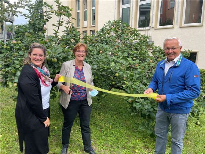 Ein gelbes Band am Baum signalisiert: Hier darf jeder ernten! Und so haben (von rechts) Landrat Achim Hallerbach, Umweltreferentin Ina Heidelbach und Gabi Schäfer von der Stabsstelle (Energie, Klima und Umwelt) den Apfelbaum im Hinterhof der Kreisverwaltung entsprechend gekennzeichnet.Foto: Kreisverwaltung