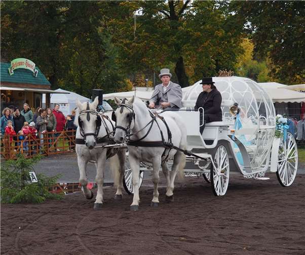 Ein gelungenes Opening zum Pferdemarkt 2022 mit dem Einzug der Hochzeitskutsche.  Fotos: BS