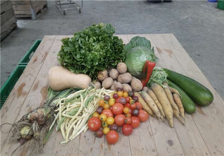 Ein großer Anteil „Wehrer Kesselgemüse“ im September 2020. Foto: SoLaWi Rhein-Ahr e.V.