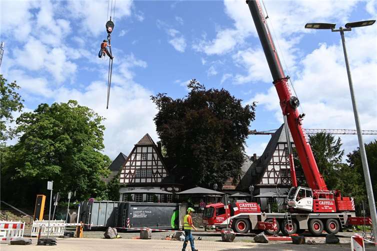 Ein großer Mobilkran hob zunächst die Baumkletterer und anschließend die Baumteile über die Gebäude des Weindorfes.