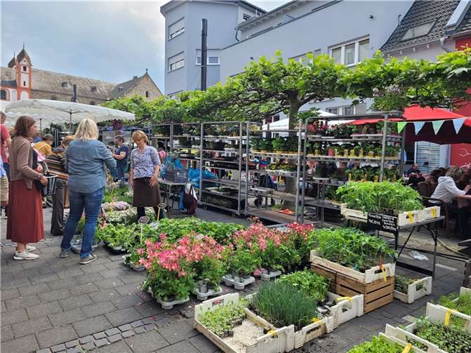 Ein großes Sortiment an Pflanzen, Blumenzwiebeln und Kräutern erwartet die Besucher.  Copyright: Stadt Bendorf
