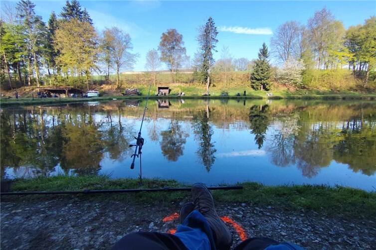 Ein herrlicher Ausblick am Forellenteich