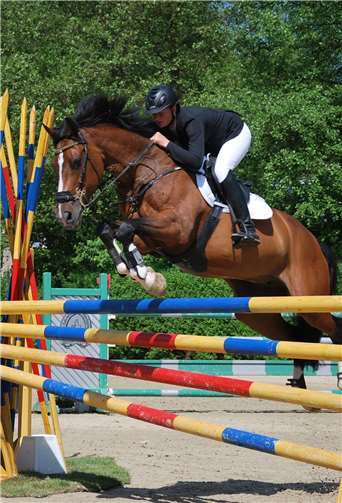 Ein hochkarätiges Programm in unterschiedlichen Schwierigkeitsstufen erwartet die Besucherinnen und Besucher.Foto: privat