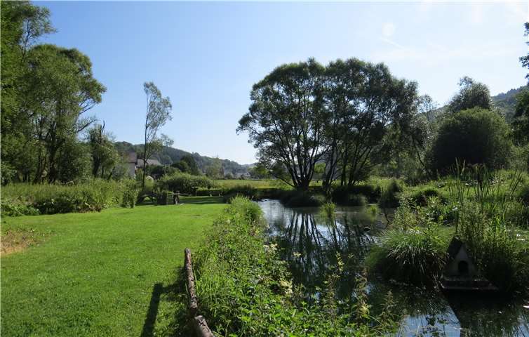 Ein Besuch beim Morswiesener Weiher Ein idyllisches Kleinod: der Moswiesener Weiher.