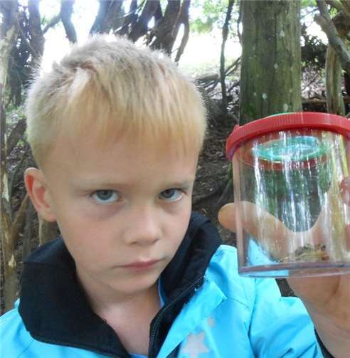 Ein kleiner Frosch erregte viel Aufmerksamkeit.