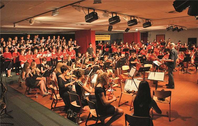 Ein kontrastreiches Programm präsentierten die Musiker des Rhein-Gymnasiums beim diesjährigen Sommerkonzert. privat