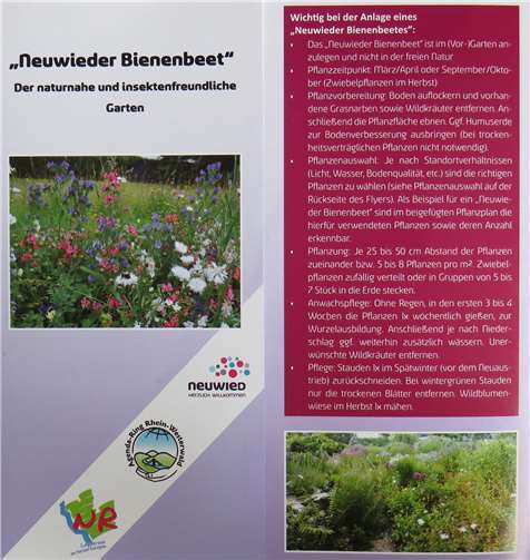 Ein neuer Flyer informiert zur Anlage von bienenfreundlichen Gärten.