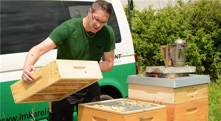 Ein neuer Honigraum wird aufgesetzt, in dem später reineHonigwaben zum Schleudern entnommen werden können.