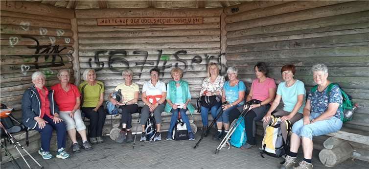Ein perfekter Wandertag: Katholische Frauengemeinschaft erkundet das Traumpfädchen Riedener Seeblick. Foto:Kath. Frauengemeinschaft Lonnig
