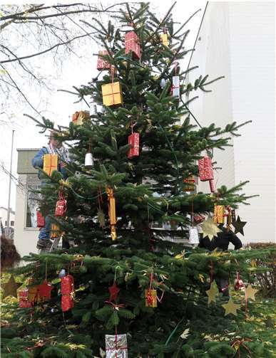 Ein schön geschmückter Weihnachtsbaum steht vor dem Rathaus.