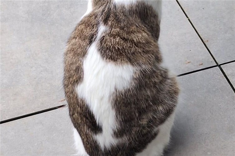 Ein schöner Rücken....