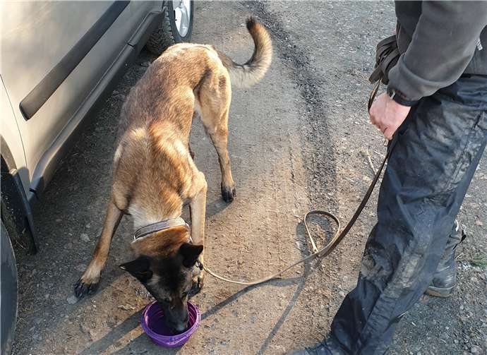 Ein sehr durstiger Diego nach mehr als zwei Tagen ohne Wasser.