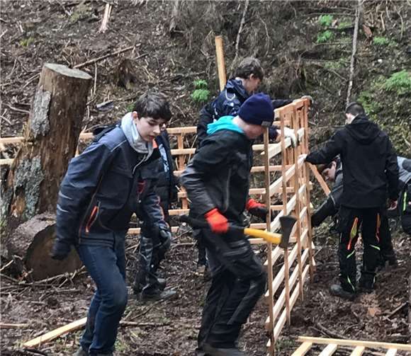 Ein so genanntes Hordengatter schützt die jungen Bäume künftig vor Wildverbiss durch Pflanzenfresser.Fotos: TT