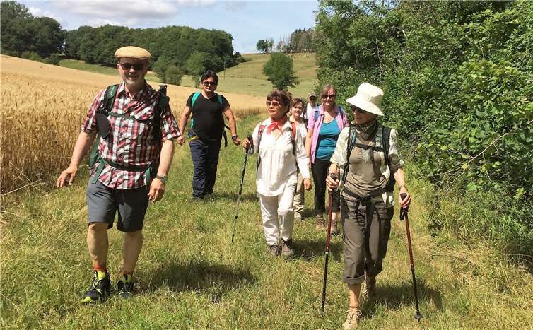 Ein steiler Anstieg führte die Wanderer auf die Moselhöhe zu Traumpfädchen Rabenlaypfad und Moselsteig. Foto: Günter Hussong