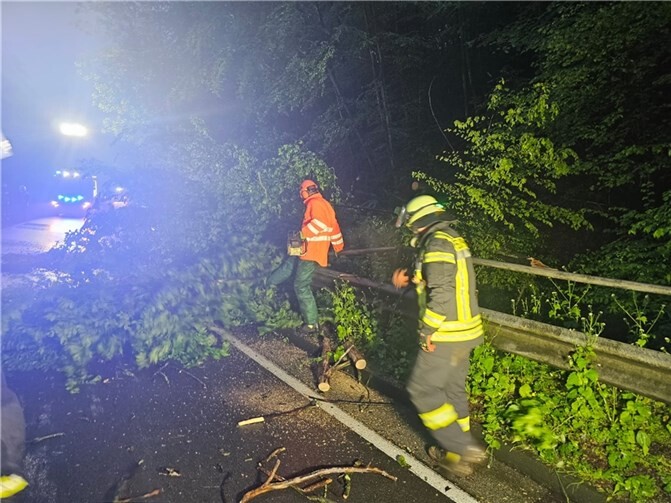 Ein umgestürzter Baum auf der L 331. Foto: Freiwillige Feuerwehr Königswinter