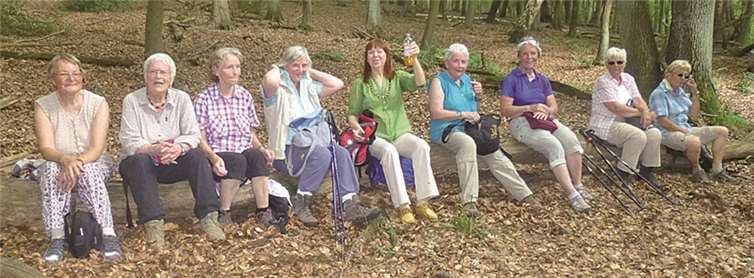Ein umgestürzter Baum lud zu einer willkommenen Rast ein.  privat