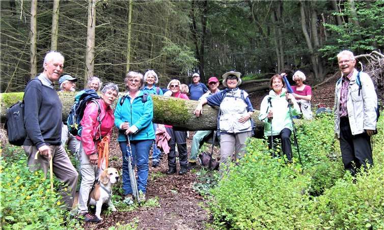 Ein umgestürzter Baum versperrte den Wandern den Weg. Foto: privat