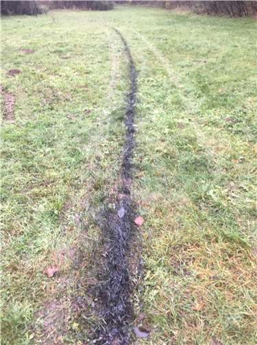 Ein unbekannter Pkw-Fahrer hat eine Ölspur auf der Wiese am Mühlenbach verursacht. Foto: Polizei