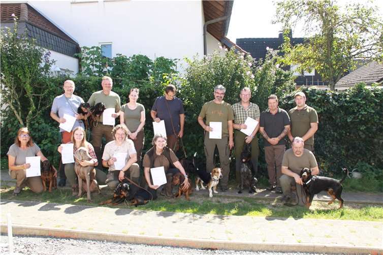 Ein vielfältiges Rudel: Von Bracken bis Weimaraner. Quelle: Kreisgruppe Ahrweiler im Landesjagdverband Rheinland-Pfalz e.V.