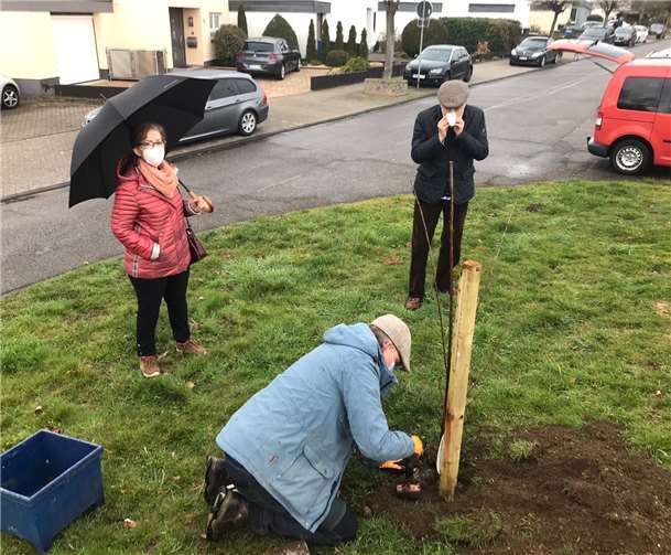 Ein weiterer Baum wurde gepflanzt.Foto: privat