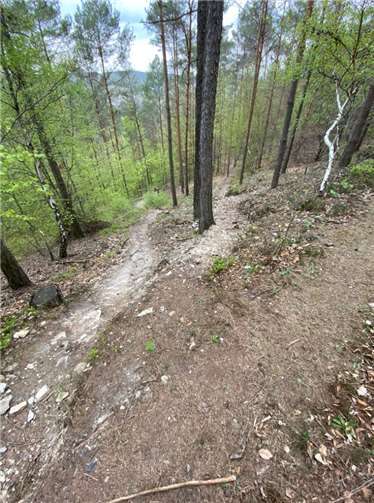 Ein weiterer illegaler Trail.