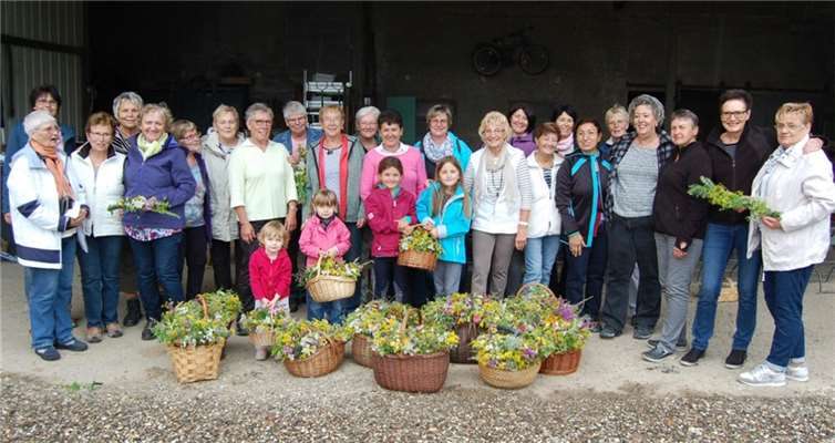 Ein wesentliches Attribut der Kirmes Maria Himmelfahrt ist seit Alters her die Kräuterweihe. Also zogen die Frauen der KfD am letzten Wochenende hinaus in die Goldene Meile, um Körbe voller bunter Wildkräuter zu sammeln.FA