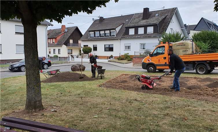 Einarbeiten von Substrat und Sand zur Vorbereitung für die Blumeneinsaat.