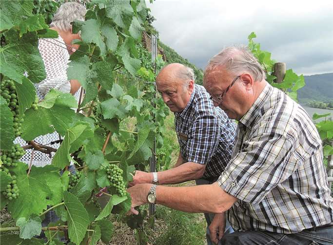 Einblätter Edelstahl dienen als Namensplaketten der Paten.