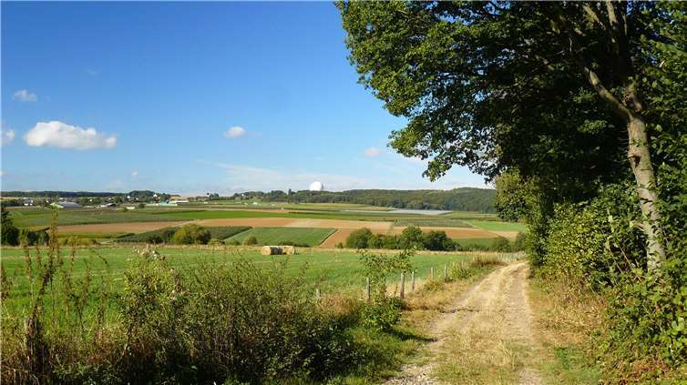 Einblick in die Wanderstrecke der Frühlingswanderung.privat
