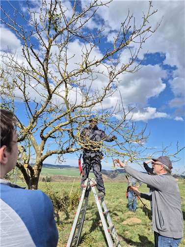 Einblick in einen der vergangenen Schnittkurse in Lehmen. Foto: KreisverwaltungMYK/LinaJaeger