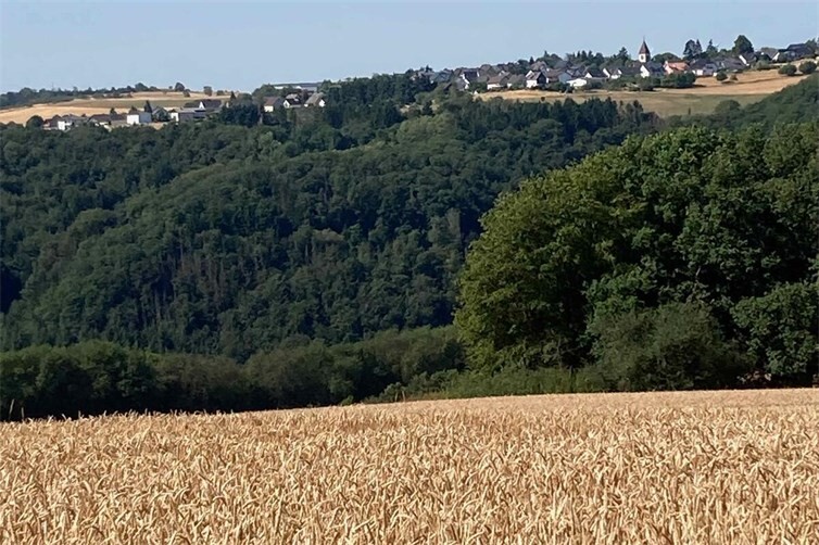 Eindruck von der Sommerwanderung der GRÜNEN am Riedener See.