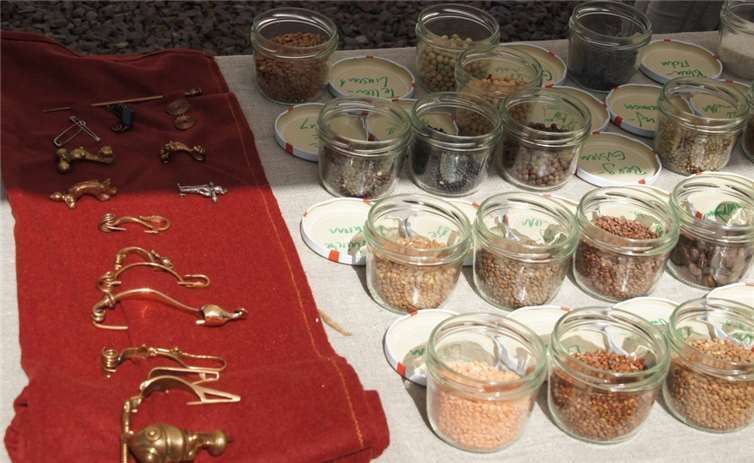 Eine Auswahl von Fibeln (Stoffnadeln).