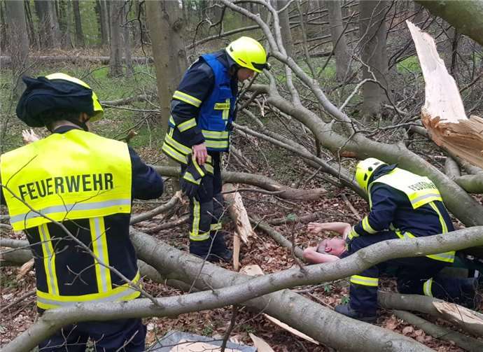 Eine Baumkrone hatte einen Waldarbeiter unter sich begraben und verletzt und musste sorgfältig entfernt werden.