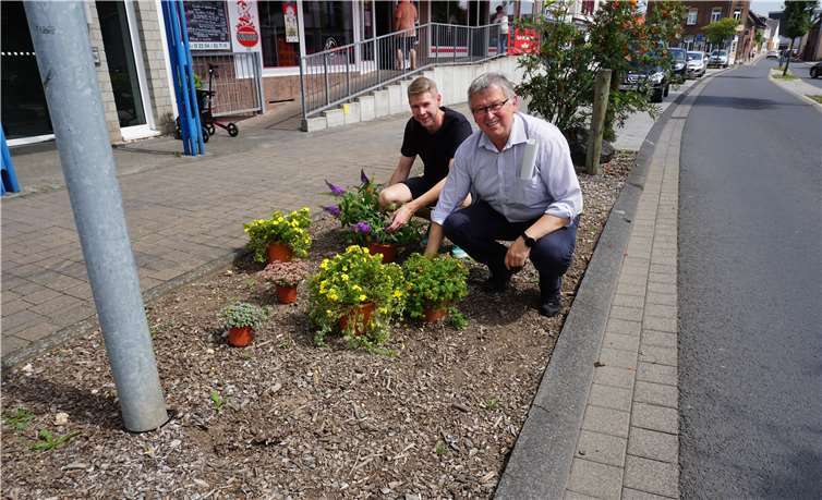 Eine Begrünung hebt das Stadtbild.
