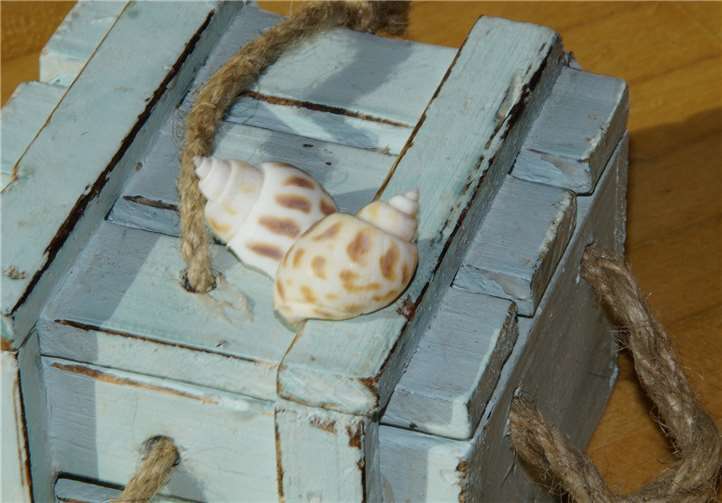 Eine Beziehung lebt neben der emotionalen Verbindung, der Gestaltung des Alltages, auch vom Austausch auf seelischer Ebene.