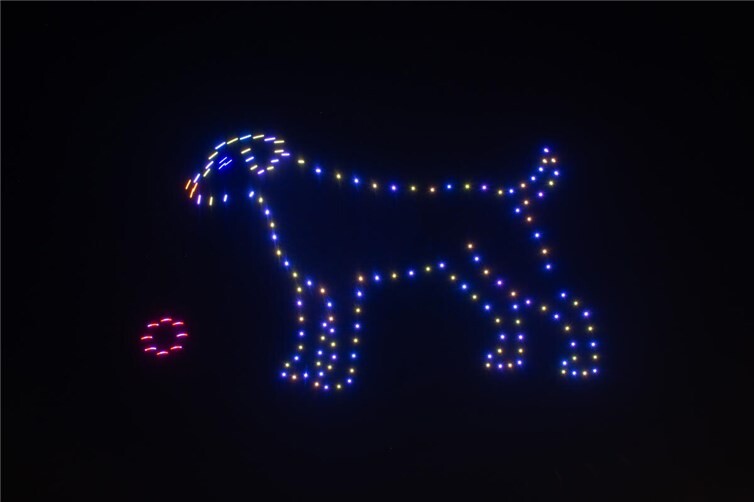 Eine Drohnenshow stellt an Silvester eine tier- und umweltfreundliche Alternative zu Raketen und Böllern dar.Foto: Gareth Harmer - Deutsche Umwelthilfe e.V.