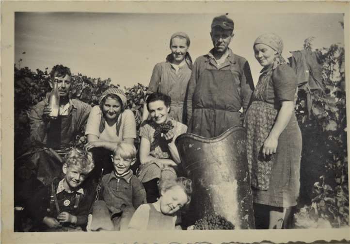 Eine Familie aus Rheinhessen bei der Weinlese in den 1960er-Jahren. Foto: LWK RLP