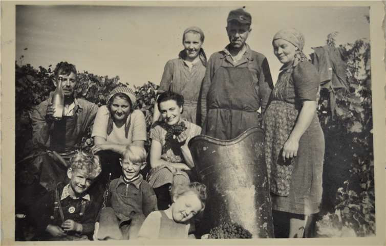 Eine Familie in Rheinhessen bei der Weinlese in den 1960er Jahren.Foto: LWK RLP