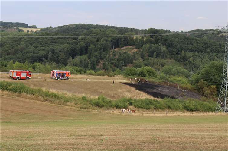 Eine Fläche von rund 1.200 Quadratmetern brannte am Donnerstagnachmittag.  Foto: Feuerwehr VG Asbach