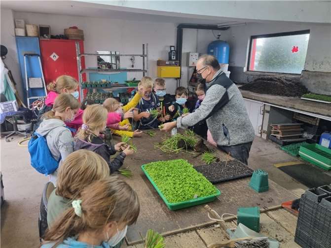 Eine Gruppe Grafschafter Kinder war in der Staudengärtnerei Schweiss in Bölingen zu Besuch.  Foto: privat