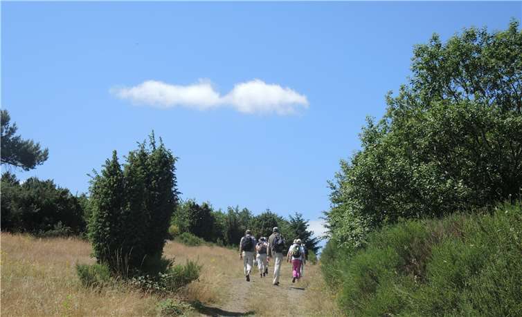 Eine Gruppe Wanderer auf dem Pilgerweg.Fotos: Privat