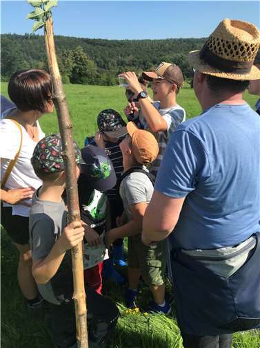 Eine Heuschrecke wird begutachtet. Copyright: SNU