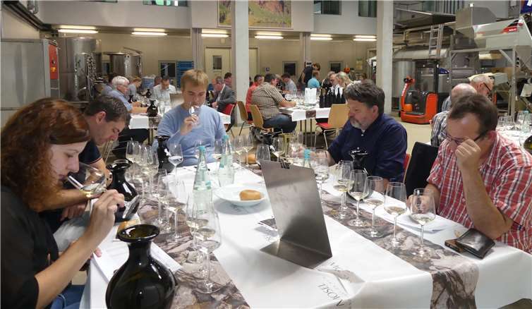 Eine Impression von der letztjährigen Auswahlproben im Kelterhaus des Steillagenzentrums in Bernkastel-Kues. Weinfachleute probieren und bewerten die Weine in verdeckter Probe. Foto: Moselwein e.V./Ansgar Schmitz