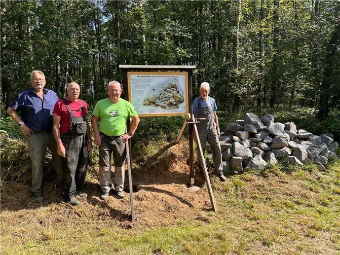 Eine Infotafel vor Ort bietet interessante Einblicke in die heimische Natur.  Foto: Ortsgemeinde Marienrachdorf