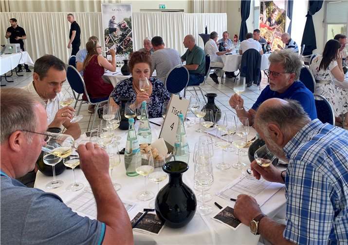 Eine Jury aus 35 regionalen und überregionalen Weinfachleuten bewertete auf Einladung des Moselwein e.V. an zwei Tagen 525 Produkte der geschützten Ursprungsbezeichnung Mosel. Foto: Ansgar Schmitz